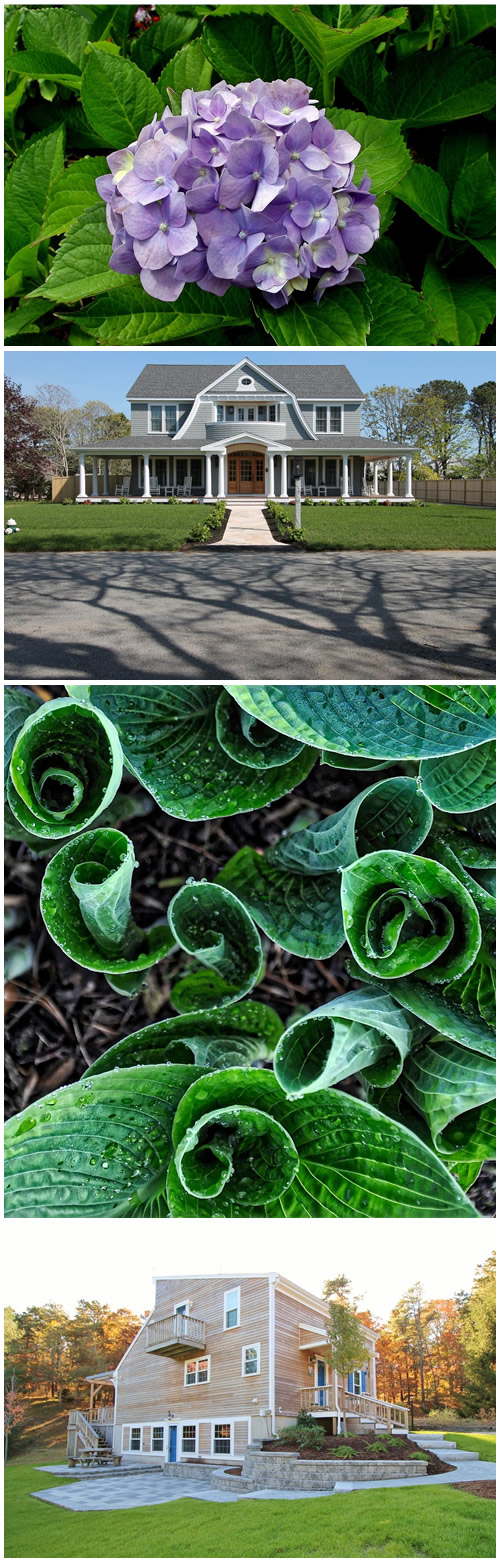 Spring Cleaning Your Cape Cod Landscape | Whitten ...