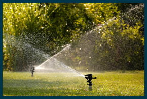 Cape Cod Landscaping Maintenance & Irrigation