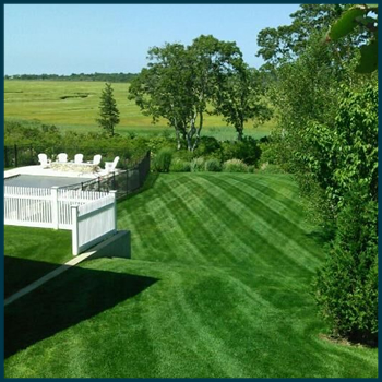 Cape Cod Landscaping