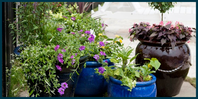 Urns, Window Boxes, Flowerbeds & Edging