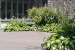 Fabricated Stone Patio: 2