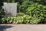 Fabricated Stone Patio: 5