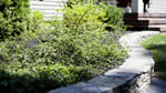Pool & Landscaping: 7
