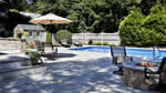 Pool & Landscaping: 8