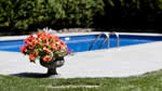 Pool & Landscaping: 13