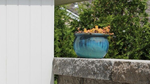 Outdoor Kitchen: 7