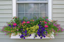 Pool & Landscaping: 11