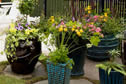 Pool & Landscaping: 13