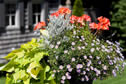 Pool & Landscaping: 15